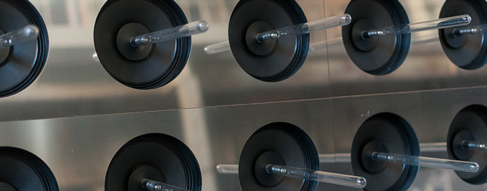 TodaysArt Global Groove